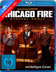 chicago-fire---staffel-12-vorab2_klein.jpg