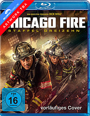 chicago-fire---staffel-13-vorab3_klein.jpg
