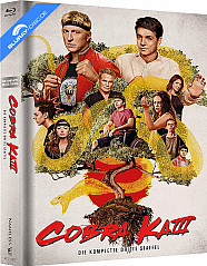 Cobra Kai - Die komplette dritte Staffel (Limited Mediabook Edition) (Cover A) (2 Blu-ray + 2 DVD) Blu-ray