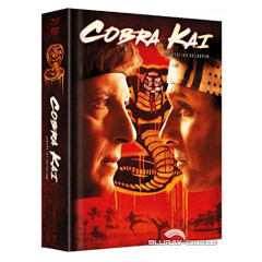 cobra-kai---die-komplette-erste-und-zweite-staffel-limited-mediabook-edition-4-blu-ray---4-dvd-de.jpg
