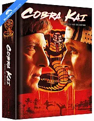 cobra-kai---die-komplette-erste-und-zweite-staffel-limited-mediabook-edition-4-blu-ray---4-dvd-neu_klein.webp cobra-kai---die-komplette-erste-und-zweite-staffel-limited-mediabook-edition-4-blu-ray---4-dvd-neu_klein.webp