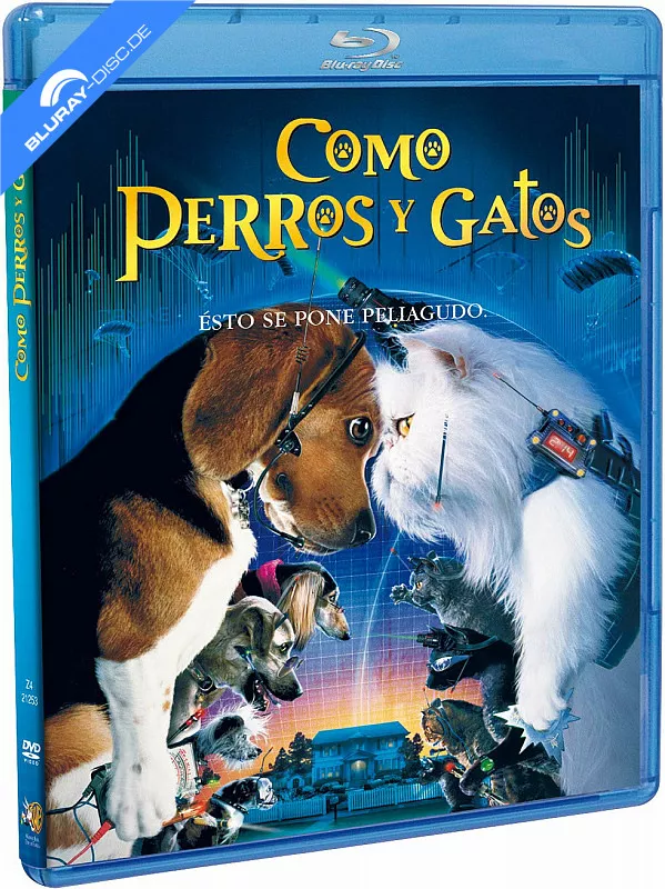 como-perros-y-gatos-es-import.webp