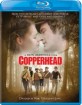 Copperhead (2013) (US Import ohne dt. Ton) Blu-ray