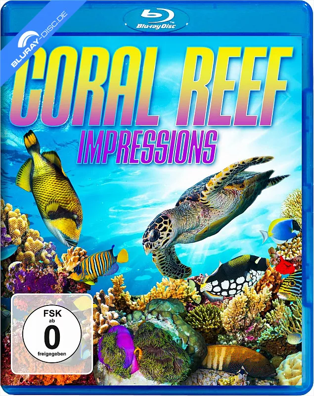 coral-reef---impressions-neu.webp