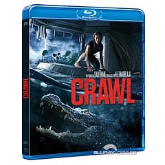 crawl-2019-fr-import.jpg