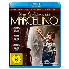 das-geheimnis-des-marcelino-DE.webp