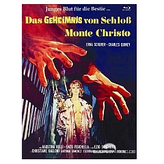 das-geheimnis-von-schloss-monte-christo-limited-kleine-hartbox-edition--de.jpg