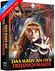 das-haus-an-der-friedhofmauer-4k-limited-mediabook-edition-cover-b-4k-uhd---blu-ray-vorab_klein.jpg