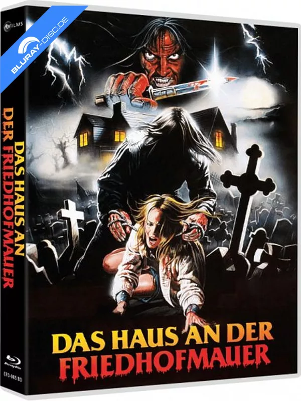 das-haus-an-der-friedhofmauer-scanavo-edition.webp