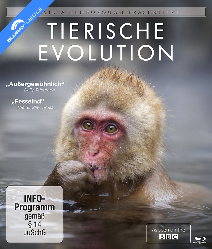 david-attenborough-tierische-evolution-neu.webp