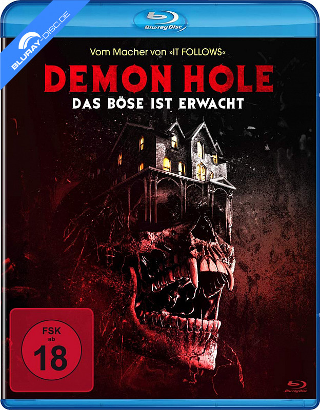 demon-hole---das-boese-ist-erwacht-neu.webp