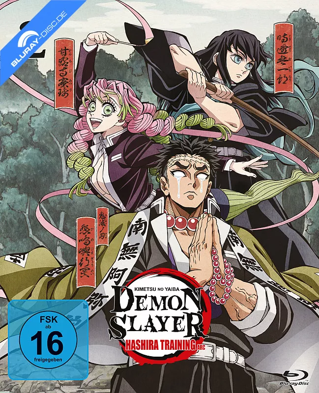 demon-slayer---kimetsu-no-yaiba---hashira-training-arc---vol.-2-de.webp