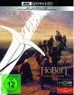 der-hobbit-die-trilogie-kinofassung-und-extended-version-4k-4k-uhd---blu-ray-de_klein.jpg