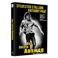 der-letzte-ausweg-1973-limited-mediabook-edition-cover-g---de.jpg