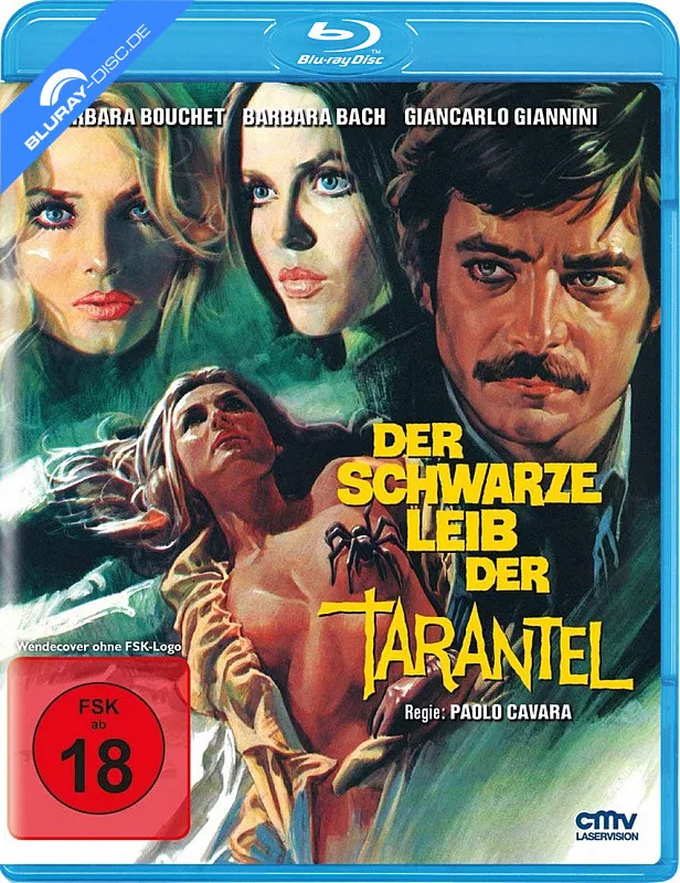 der-schwarze-leib-der-tarantel-neu.webp