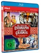 der-tiger-von-eschnapur-1959--das-indische-grabmal-1959-remastered-edition-doppelset_klein.jpg