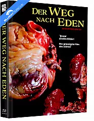 Der Weg nach Eden (Limited Mediabook Edition) (Cover E) (Blu-ray + DVD) Blu-ray