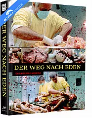 Der Weg nach Eden (Limited Mediabook Edition) (Cover F) (Blu-ray + DVD) Blu-ray