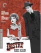 Destry Rides Again - Criterion Collection (Region A - US Import ohne dt. Ton) Blu-ray