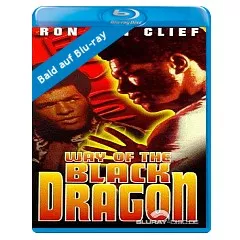 die-faust-des-schwarzen-drachen-special-edition--de.webp