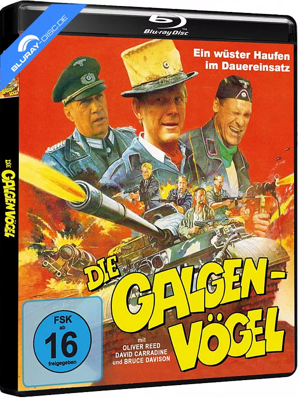 die-galgenvoegel-de.webp