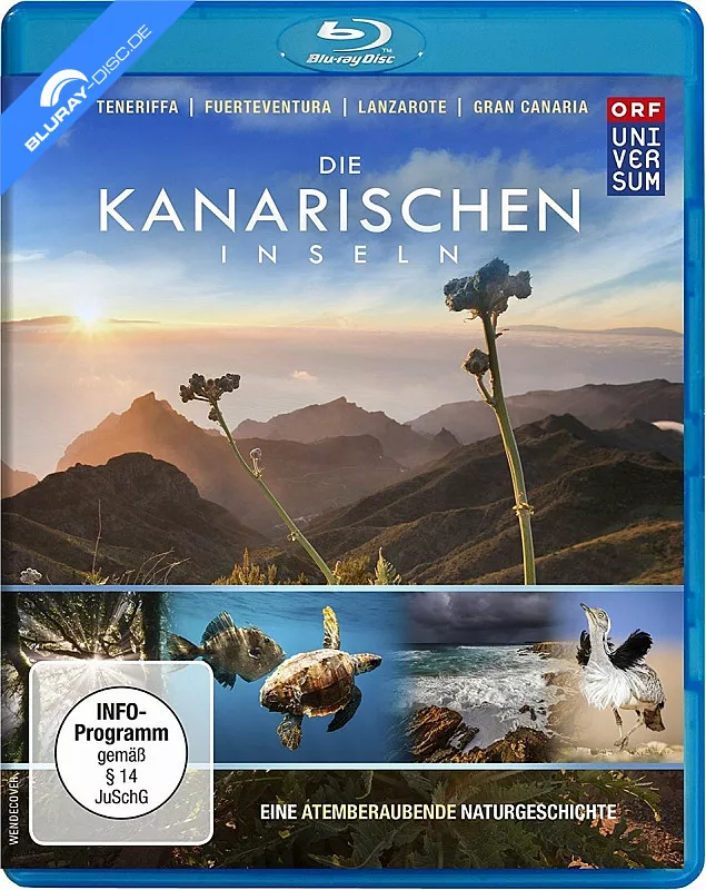 die-kanarischen-inseln-2016-neu.webp