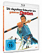 die-siegreichen-schwerter-des-goldenen-drachen-2k-remastered-limited-eastern-collection-de_klein.jpg