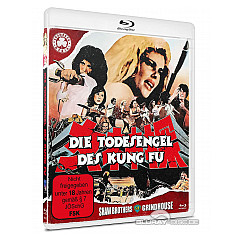 die-todesengel-des-kung-fu-cover-a---de.webp