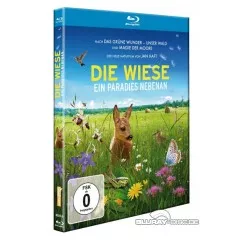 die-wiese---ein-paradies-nebenan.webp