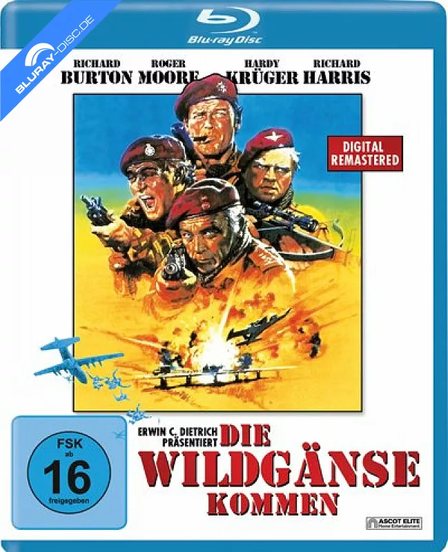 die-wildgaense-kommen-neu.webp