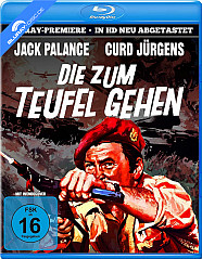 die-zum-teufel-gehen-1969-de_klein.jpg