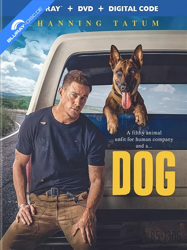 dog-2022-us-import.webp