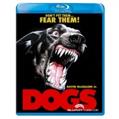 dogs-us.webp
