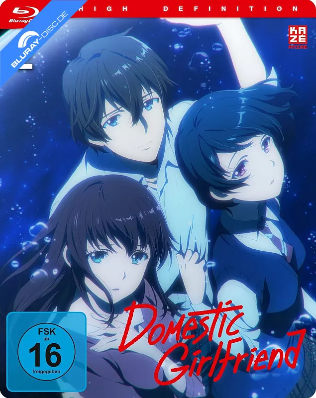domestic-girlfriend---vol.-2-neu.webp