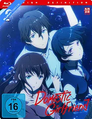domestic-girlfriend---vol.-2-neu_klein.webp