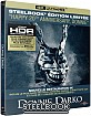 Donnie Darko 4K - Theatrical Cut and Director's Cut - FNAC Exclusive Edition Limitée Steelbook (FR Import ohne dt. Ton) Blu-ray