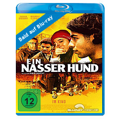 ein-nasser-hund--de.webp
