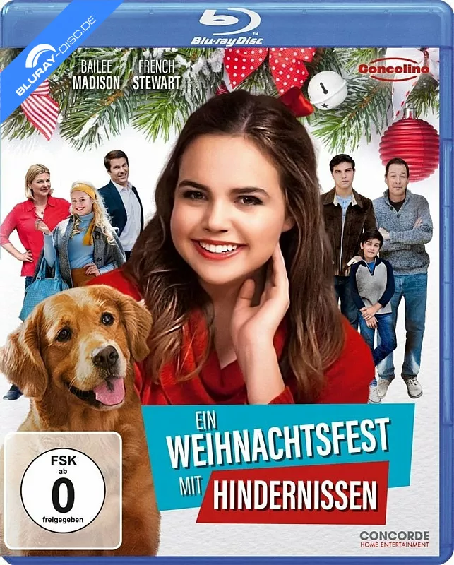 ein-weihnachtsfest-mit-hindernissen-neu.webp