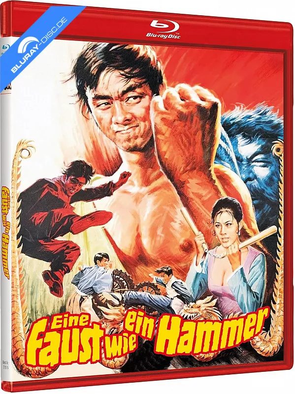eine-faust-wie-ein-hammer-limited-edition-cover-a-de.webp