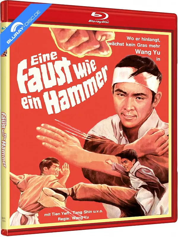 eine-faust-wie-ein-hammer-limited-edition-cover-b-de.webp