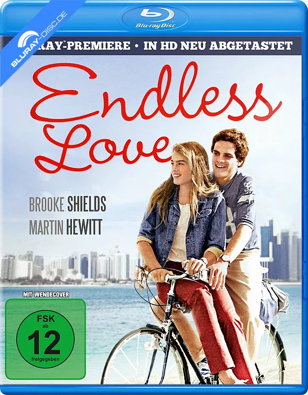 endlose-liebe---endless-love-1981-de.webp