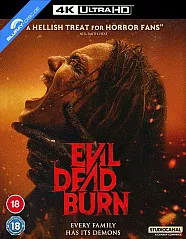 evil-dead-burn-2026-4k-uk-import_klein.webp evil-dead-burn-2026-4k-uk-import_klein.webp
