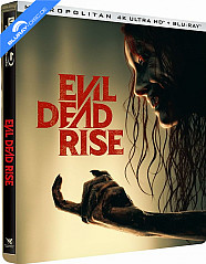 Evil Dead Rise 4K - Édition Limitée Steelbook (4K UHD + Blu-ray) (FR Import ohne dt. Ton) Blu-ray