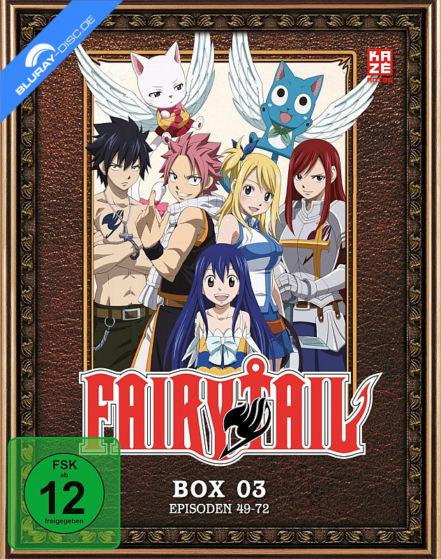 fairy-tail---vol.-3-neu.webp