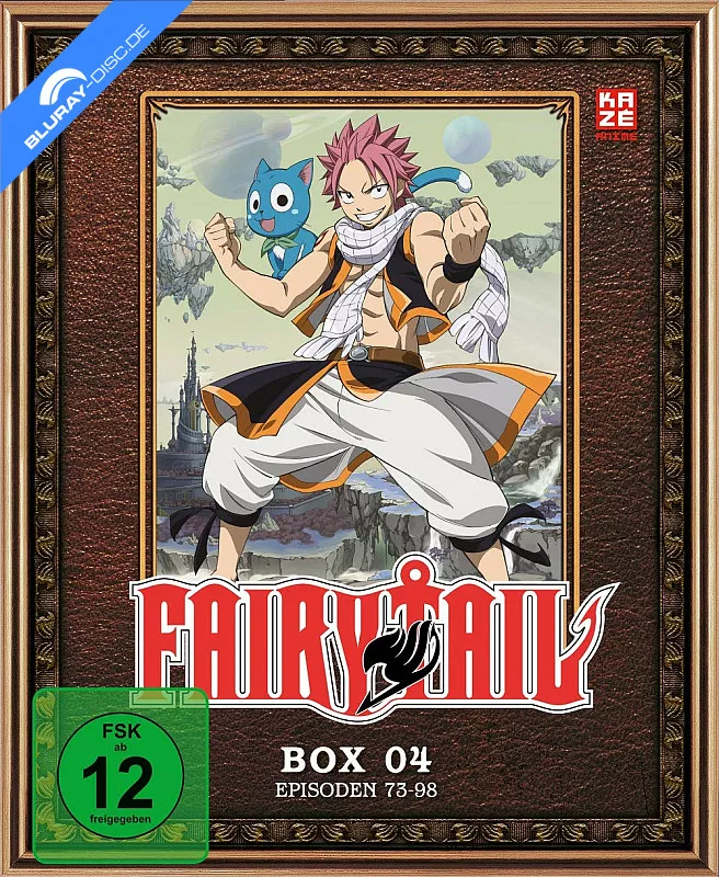 fairy-tail---vol.-4-neu.webp
