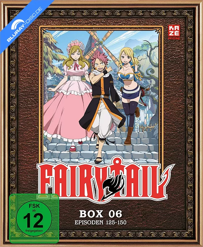 fairy-tail---vol.-6-neu.webp