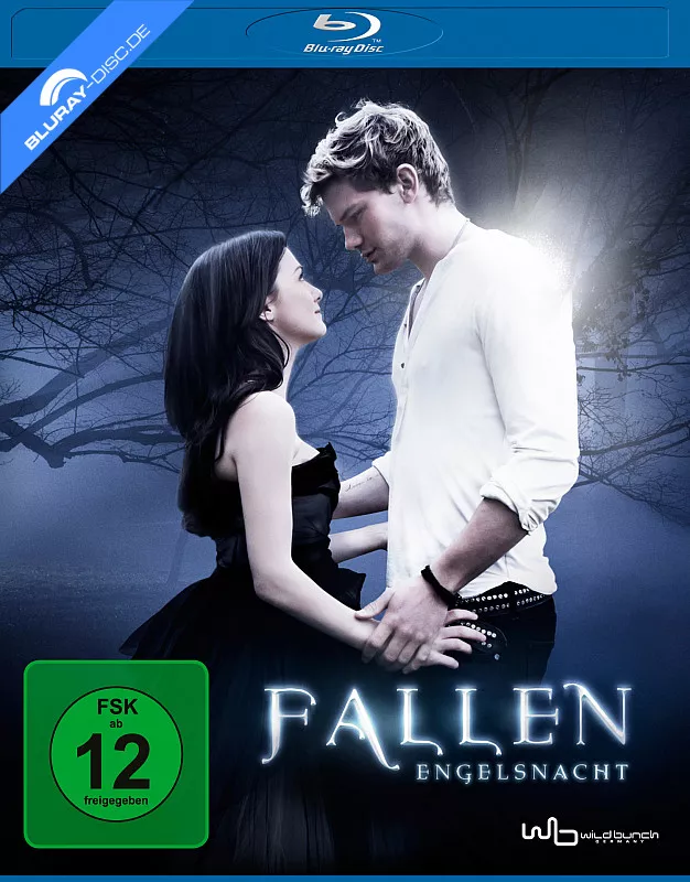 fallen---engelsnacht-neu.webp