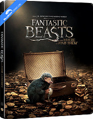 Fantastic Beasts and Where to Find them 3D - Limited Edition Steelbook (Blu-ray 3D + Blu-ray) (HK Import ohne dt. Ton) Blu-ray
