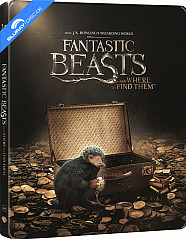 Fantastic Beasts and Where to Find them 3D - Limited Edition Steelbook (Blu-ray 3D + Blu-ray) (SE Import ohne dt. Ton)
