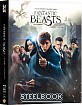 Fantastic Beasts and Where to Find them 3D - Manta Lab Exclusive #009 Lenticular Fullslip Edition Steelbook (Blu-ray 3D + Blu-ray) (HK Import ohne dt. Ton) Blu-ray